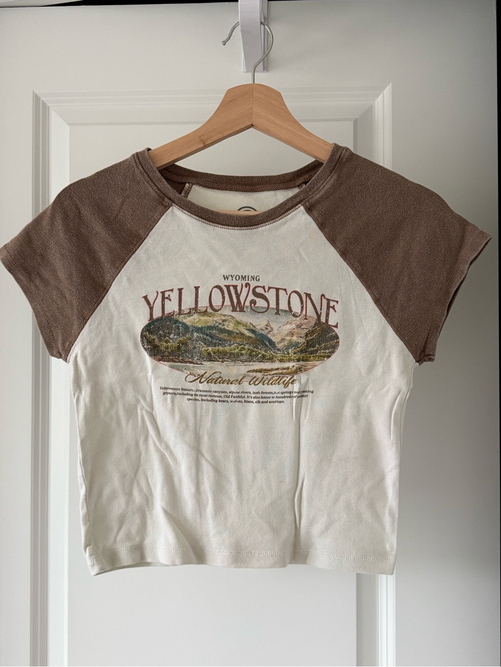 Yellowstone Graphic Raglan Crop Baby Tee - Brown & Cream